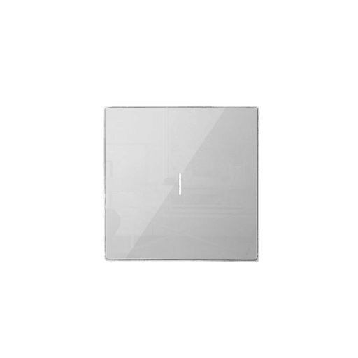 [LS220-WF1] Nature Switch (MATTE) (White AG Glass - White 1 way) 