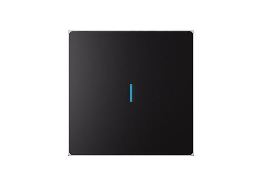 [LS220-GM1] Nature Switch (MATTE) (Black AG Glass - Gray 1 way)
