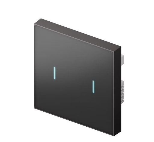[LS220-GM2] Nature Switch (MATTE) (Black AG Glass - Gray 2  way)